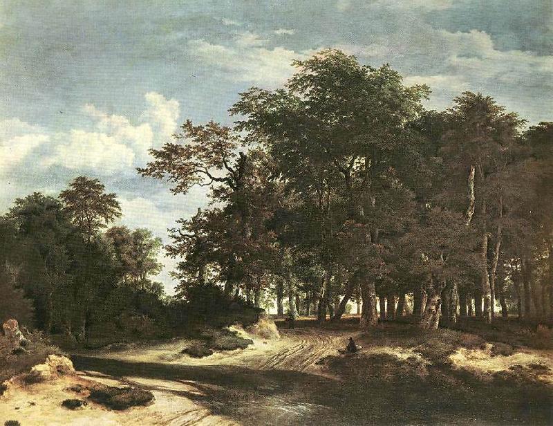 Jacob van Ruisdael The Large Forest Norge oil painting art